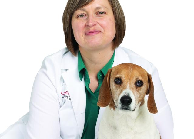 Kate Buriko Cornell University Veterinary Specialists Stamford Ct 9448